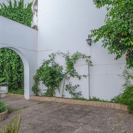 O&L Aire - Spacious And Bright Apartment In The Heart Of Seville Sevilha Exterior foto